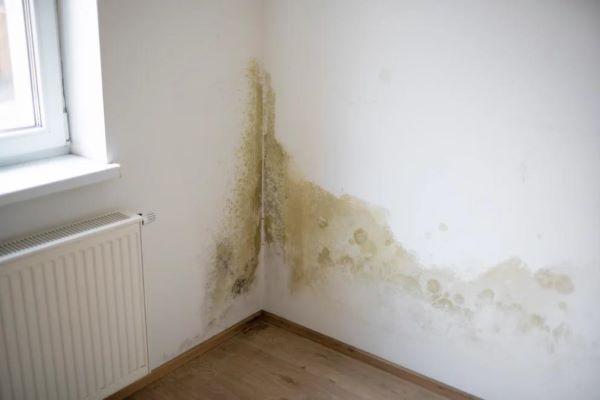 Tanda Ventilasi Rumah Kurang Baik